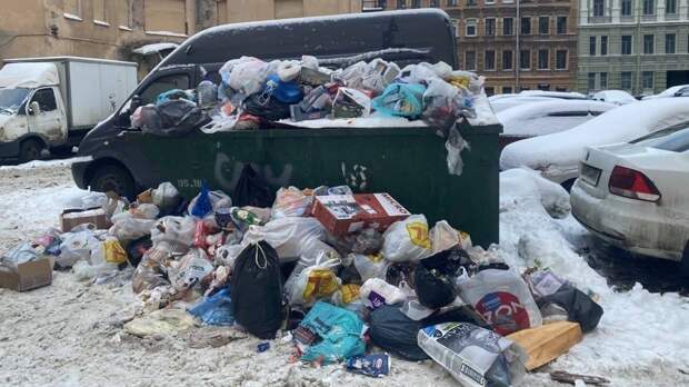 Муниципальные депутаты хотят через суд отстранить устроившую мусорный коллапс в Петербурге компанию
