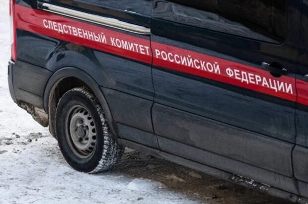 СК проверяет информацию об отравлении более 25 детей в школе в Петербурге