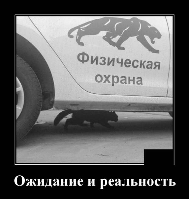 Демотиваторы (20 фото)