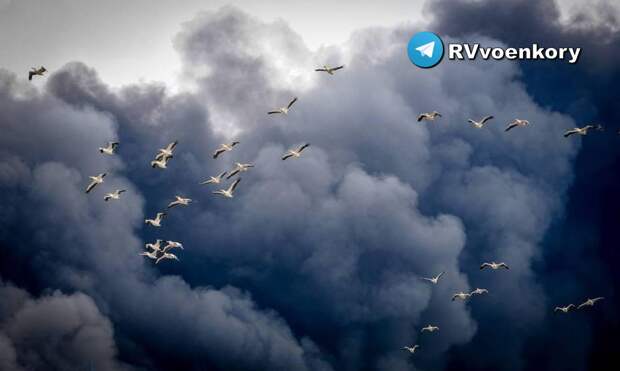 Иран нанёс удары по базам США и инфраструктуре мировых IT-гигантов на Ближнем Востоке