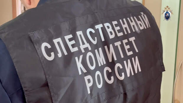 Подростка из Кузбасса обвинили в финансировании терроризма за «звездные реакции»