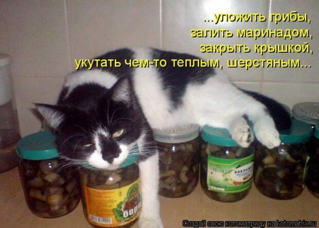 Мысли вслух :)