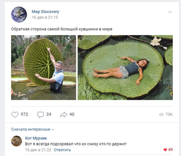Вот в чём подвох! Вот в чём подвох!