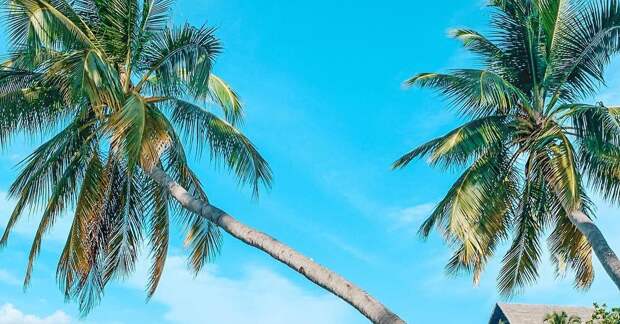 Анфиса Чехова не боится позировать топлес