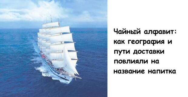 Чайный алфавит: как география и пути доставки повлияли на название напитка