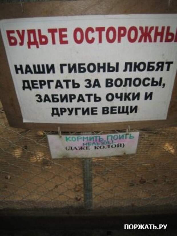 Подборка фото юмора...