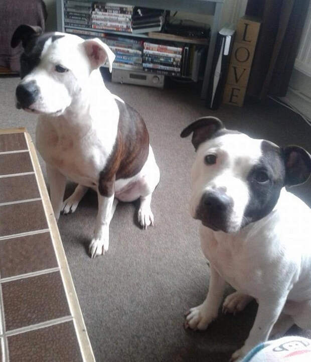 Фото © Facebook/Dan McNulty