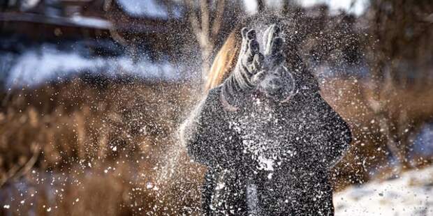 Прогноз погоды на зиму 2025-2026: Вильфанд рассказал, ждать ли россиянам теплой зимы