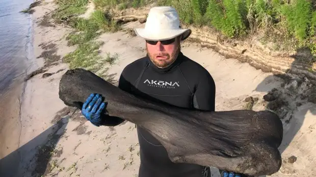 Аквалангисты обнаружили в реке кость мамонта весом 22 кг