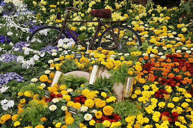 Выставка цветов и ландшафтного дизайна Chelsea Flower Show 2014