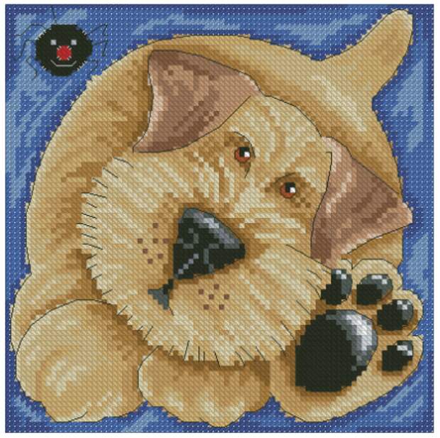 Лапа (Terrier)