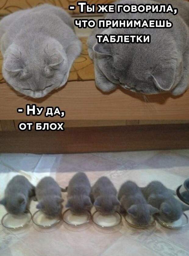 1oqtdrrsjsq.jpg