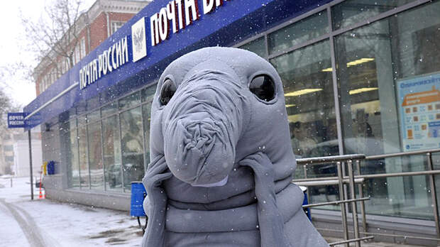 А у самих офис за 1,5 млрд: "Почта России" "обдирает до нитки" бедных сельчан