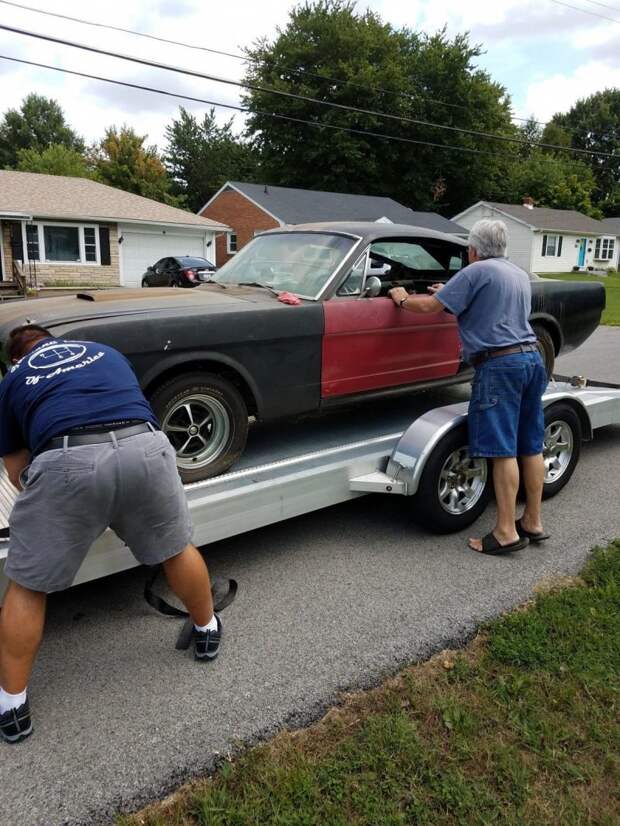 Из проката в забытье: уникальный Mustang нашли в сарае barn find, ford, ford mustang, mustang, авто, автомобили, находка, олдтаймер