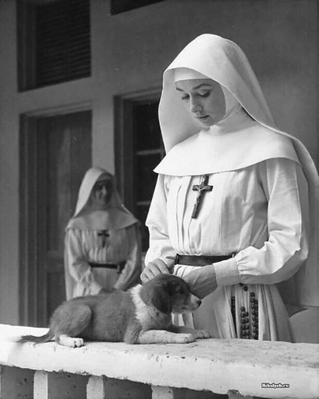 Одри Хепбёрн с щенком на съёмках фильма: «История монахини». 1958 год