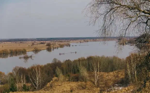 Уровень воды в Оке снизился за сутки на 4 сантиметра