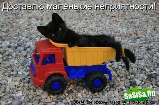 Лучшие котоматрицы недели, 35 шт.