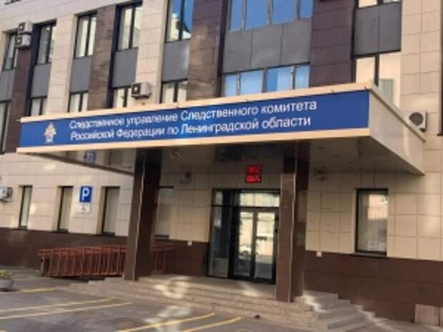 В Ленинградской области перед судом предстанет мужчина по обвинению в убийстве женщины, совершенном 20 лет назад