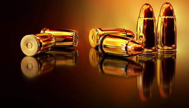 Депутат Госдумы Михаил Шеремет предложил выдать оружие сотрудникам ЧОПов