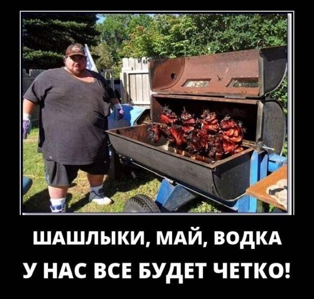 Демотиваторы (30 фото)