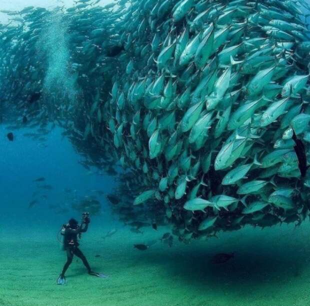 КРАСОТА ФОТОГРАФИИ,КОТОРЫЕ МОЖНО ПОСТАВИТЬ НА РАБОЧИЙ СТОЛ