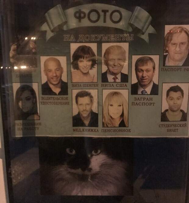 Кот и креатив Кот и креатив
