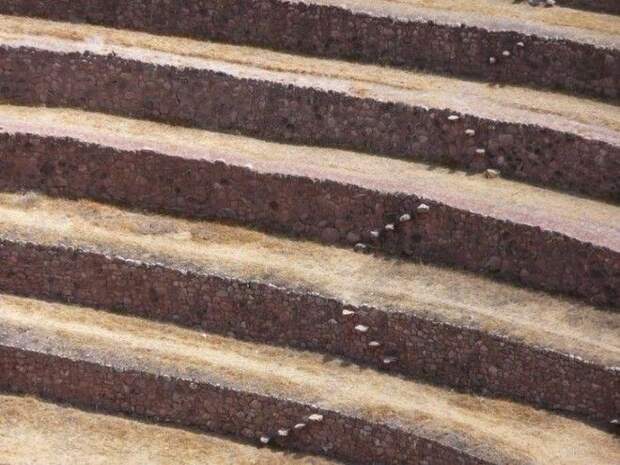 Terraces12