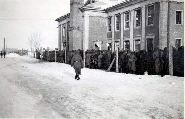 Фотография: 