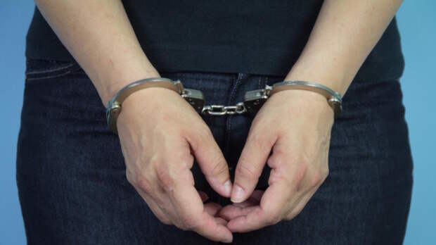 В Подмосковье задержали организатора рехаба, где пытали детей