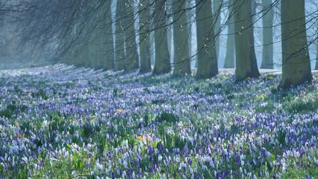 От некоторых людей идёт такой свет, что погода уже не столь важна Представляем прогноз на 3 марта в Туле