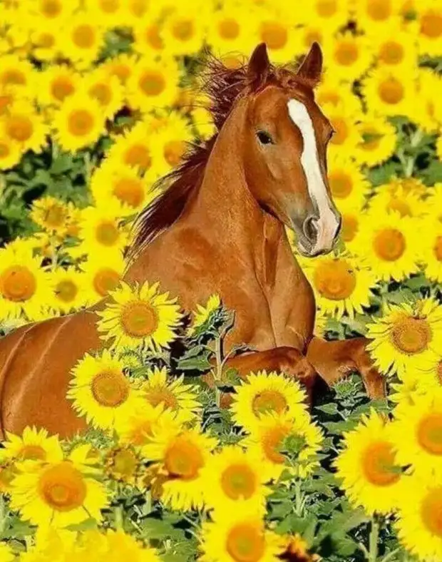       !
