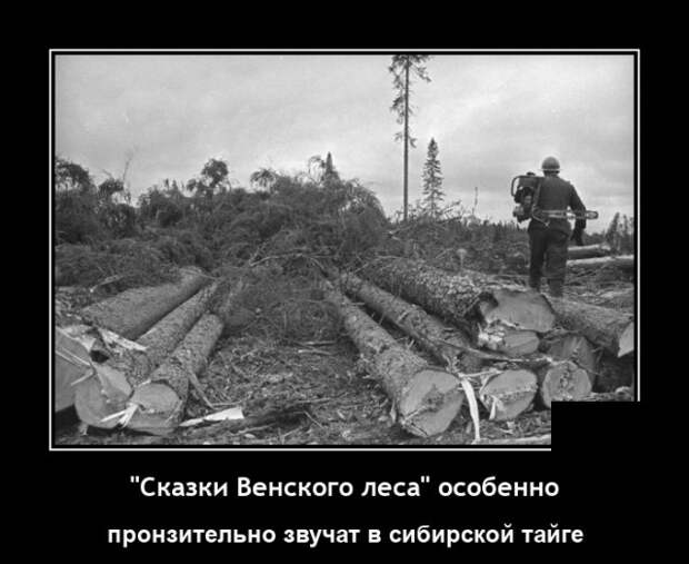 Демотиваторы 10 января 2021 года