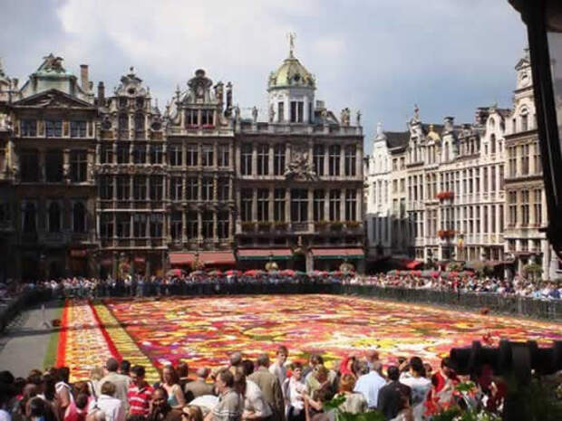 flower carpet3 The Giant Flower Carpet of Brussels 