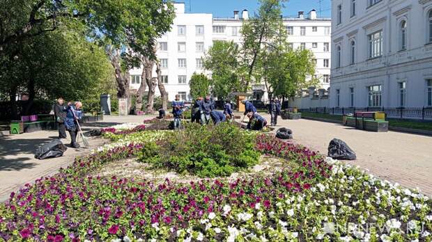 В Екатеринбурге обновляют цветники к лету