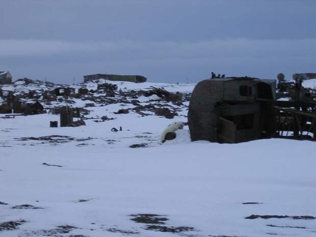 В 1000 километрах от Северного полюса полярники нашли секретную базу Рейха, о которой 80 лет никто не знал