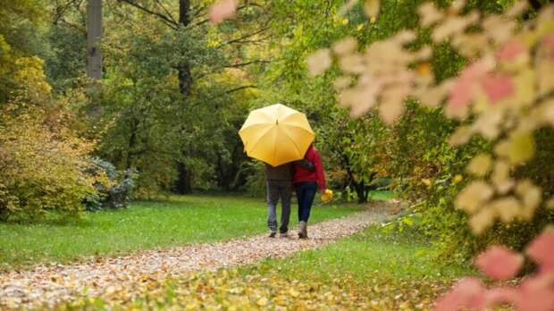 27 октября в Москве ожидается облачная погода с прояснениями, местами небольшой дождь