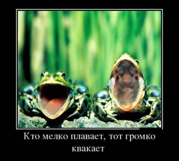 Новые демотиваторы (24 шт)