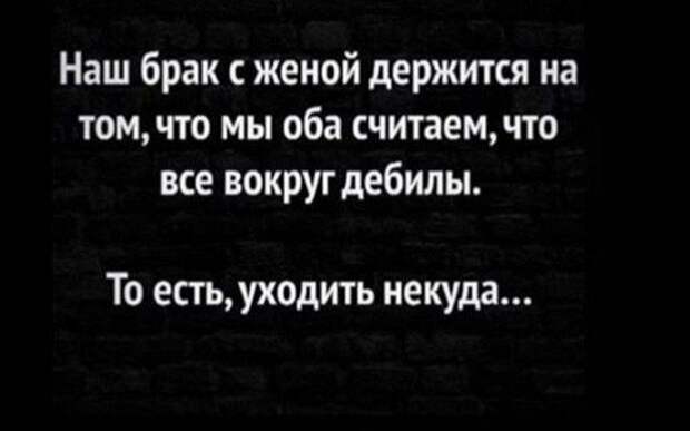 seti-shutki-memy-citaty-vkontakte-vkontakte-smeshnye-statusy