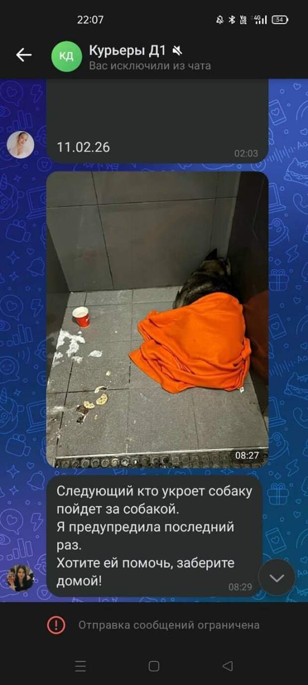 «Додо Пиццу» отменяют по всей России из-за скандала в Челябинске — курьера