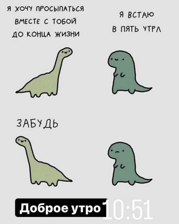 Лучшие шутки и мемы из Сети