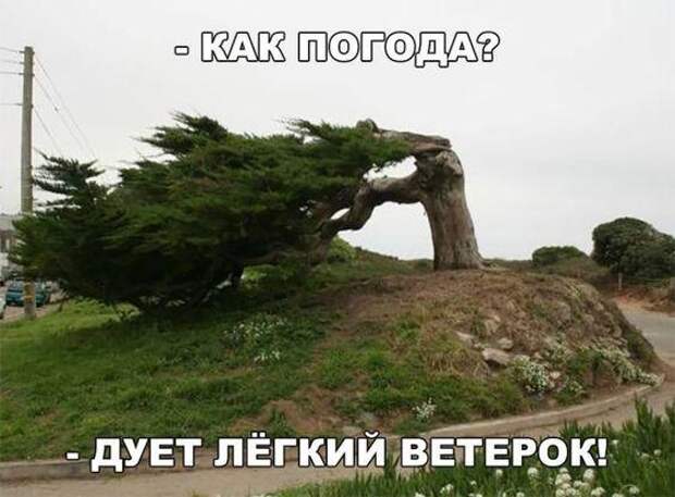 Смотреть свежие картинки с надписями (понедельник)