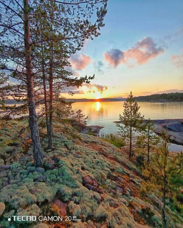 Природа России 97