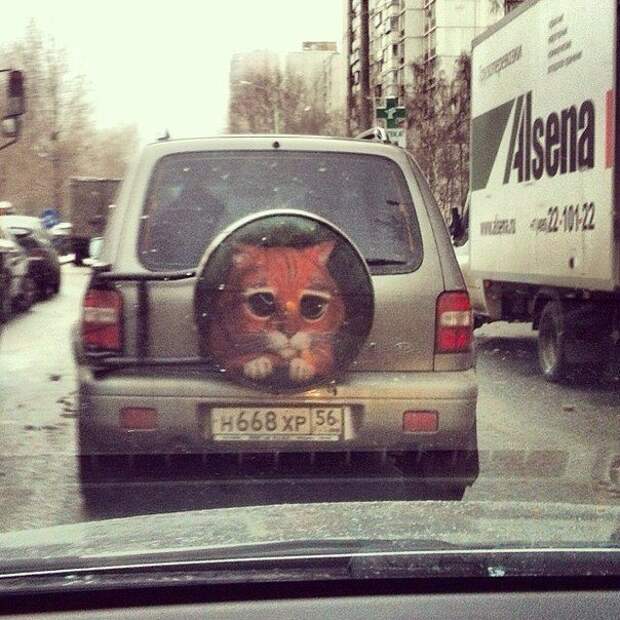 Подборка автоприколов