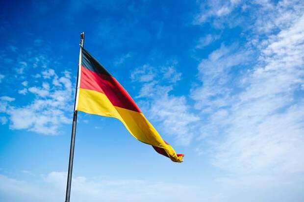 «Альтернатива для Германии» заняла второе место на выборах в Европарламент в ФРГ