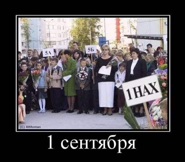 Прикольные демотиваторы с надписями. Подборка chert-poberi-dem-chert-poberi-dem-04000330082020-8 картинка chert-poberi-dem-04000330082020-8