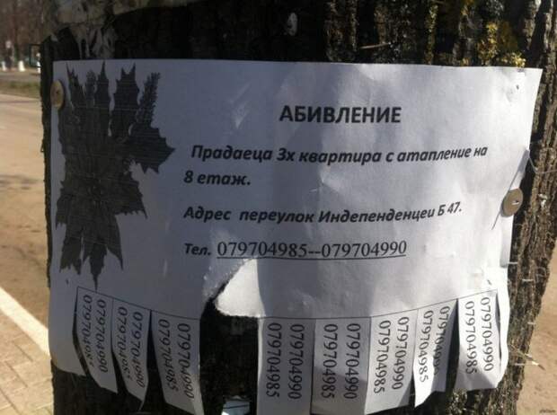 Учите русский язык, господа! Учите русский язык, господа!