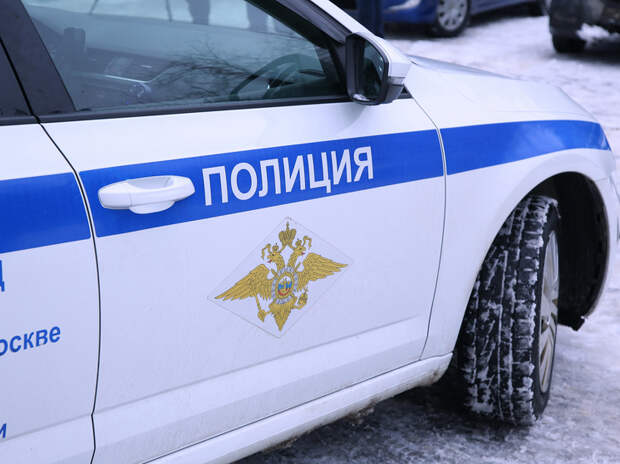 Силовики стали жертвами пассажира автобуса, который вез домой игрушечную акулу