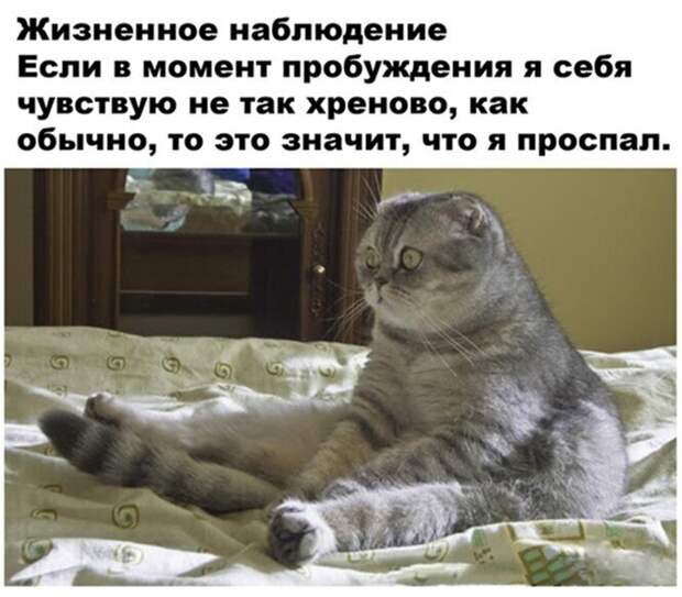 Точно 