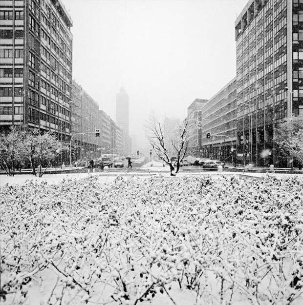 Лучшие фотографии International Photography Awards (IPA) 2007