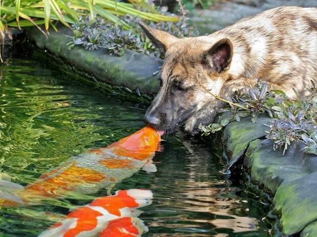 Фотографии, которые берут за душу